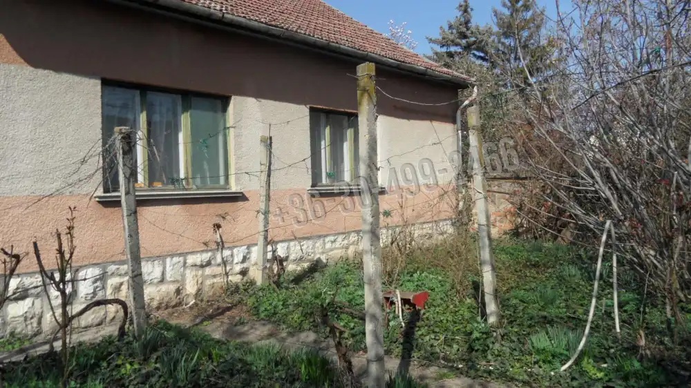 Csongrád megye - Szeged